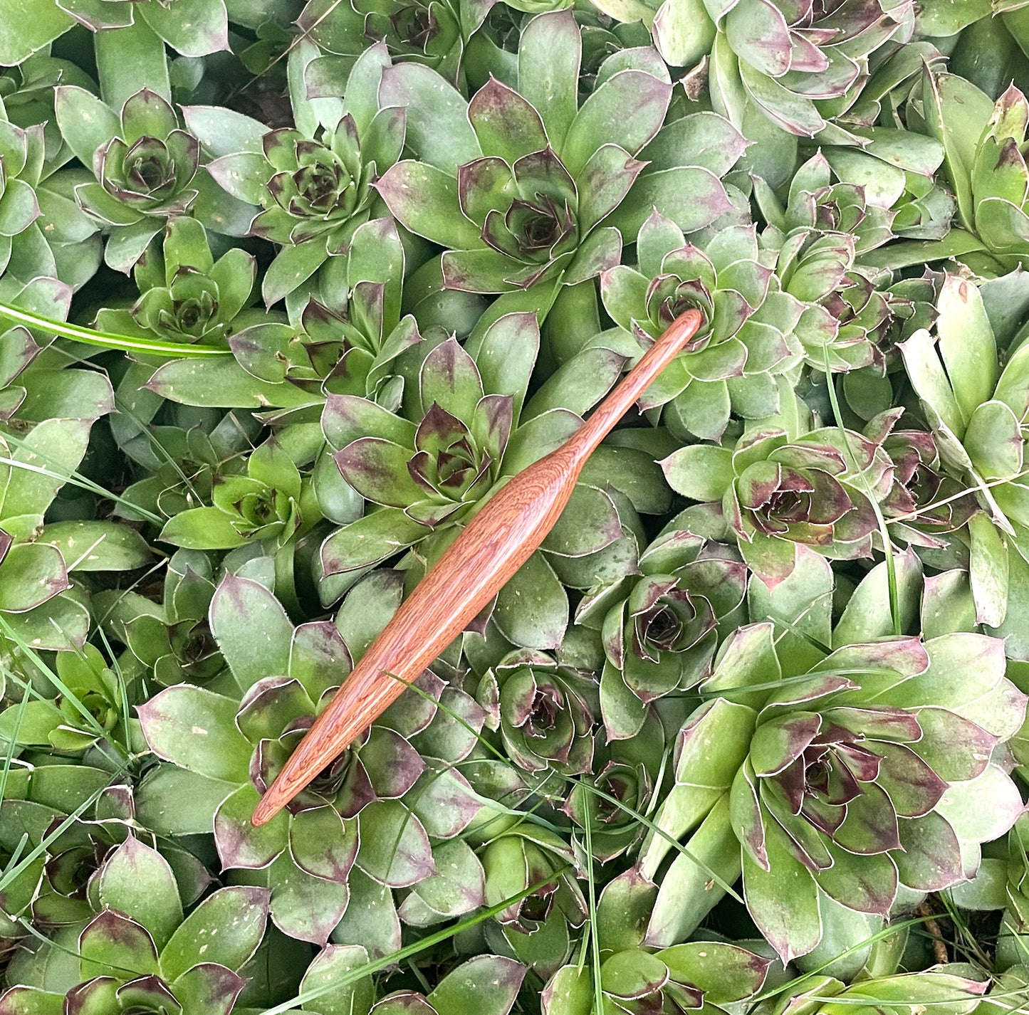 6.5mm/K10.5 Sapele